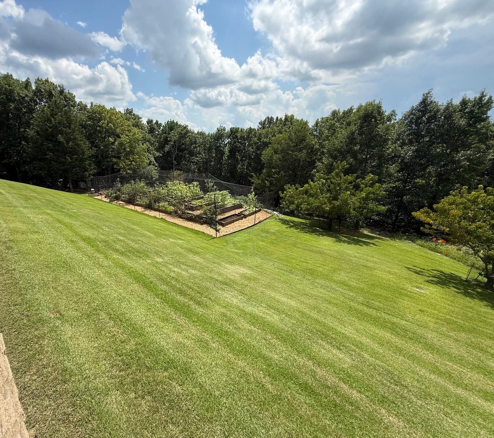 A wide back lawn cut in even mowing stripes, sloping from a stone terrace down to raised garden beds at the treeline.