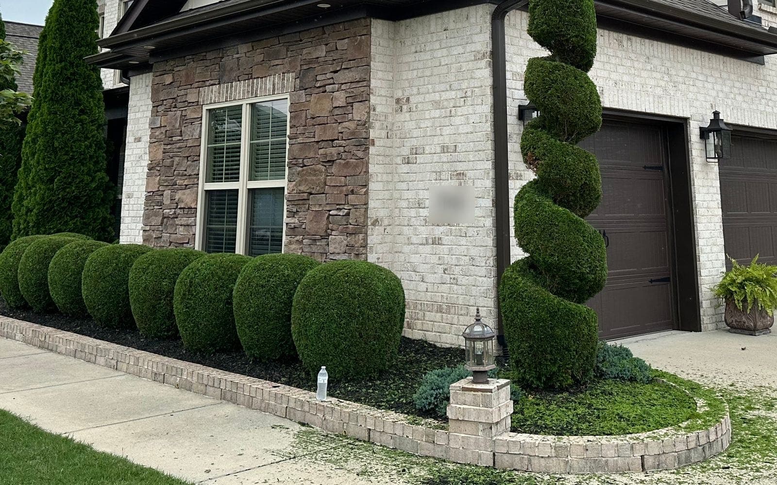 A row of round boxwoods clipped to matching domes along a brick wall, with a tall spiral topiary at the corner.