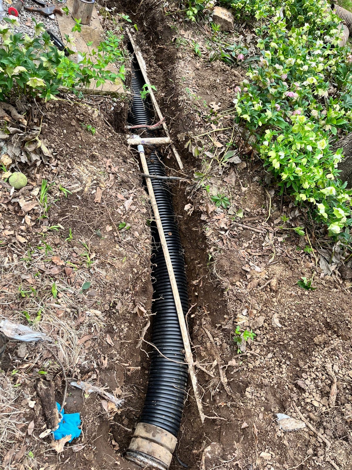 A long drain line laid straight in an open trench along a planting bed, set to grade with a string line.
