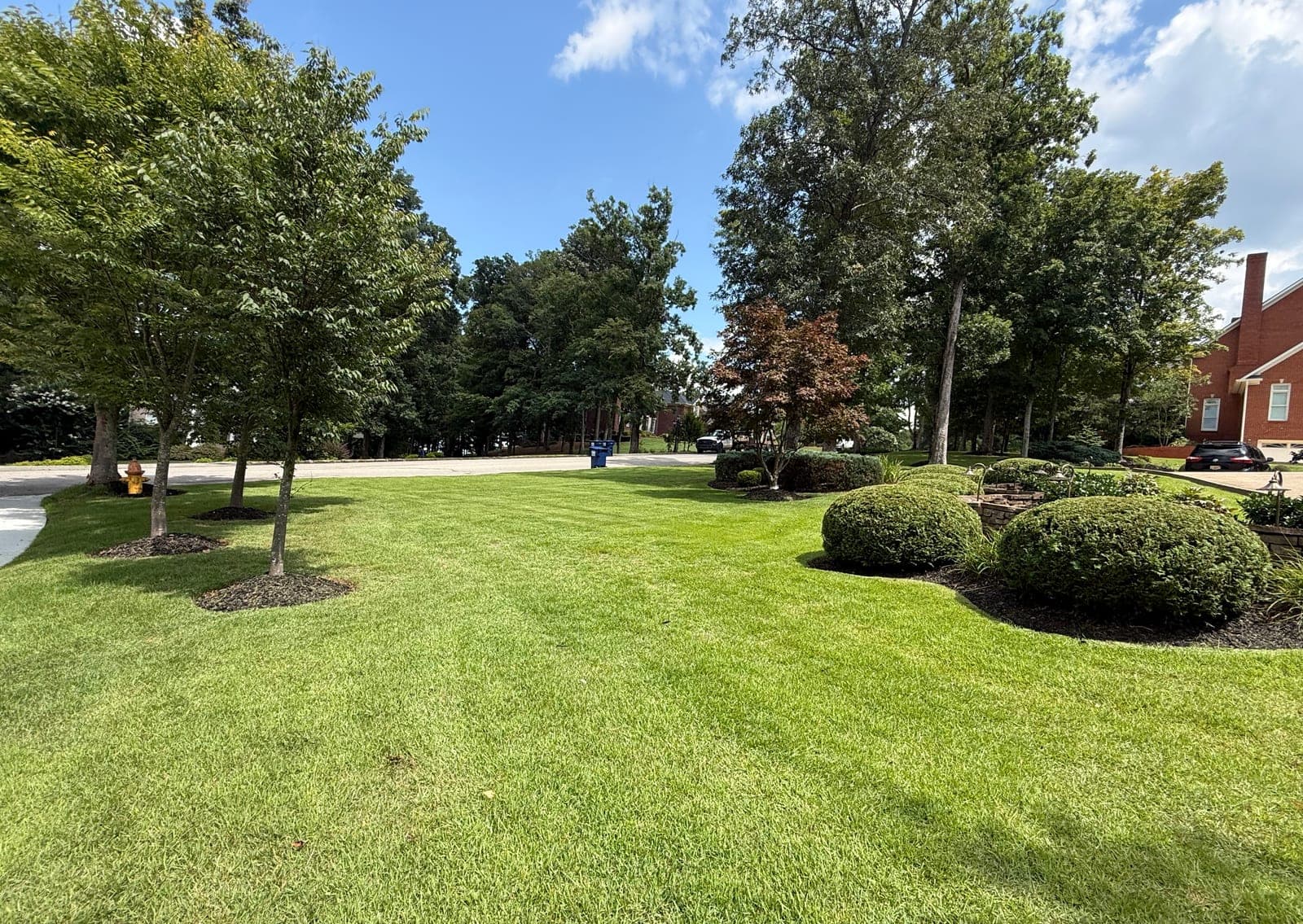 A corner lot with mulched rings around young trees and a curved bed of clipped shrubs edging the green lawn.