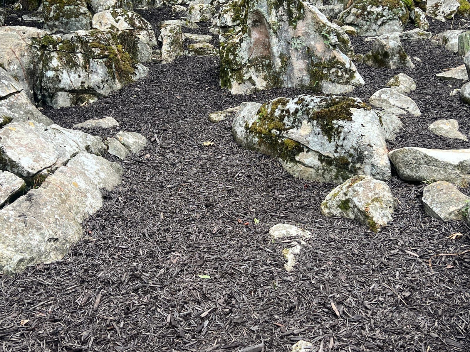 Fresh dark mulch laid in paths between moss covered boulders in a rock garden.
