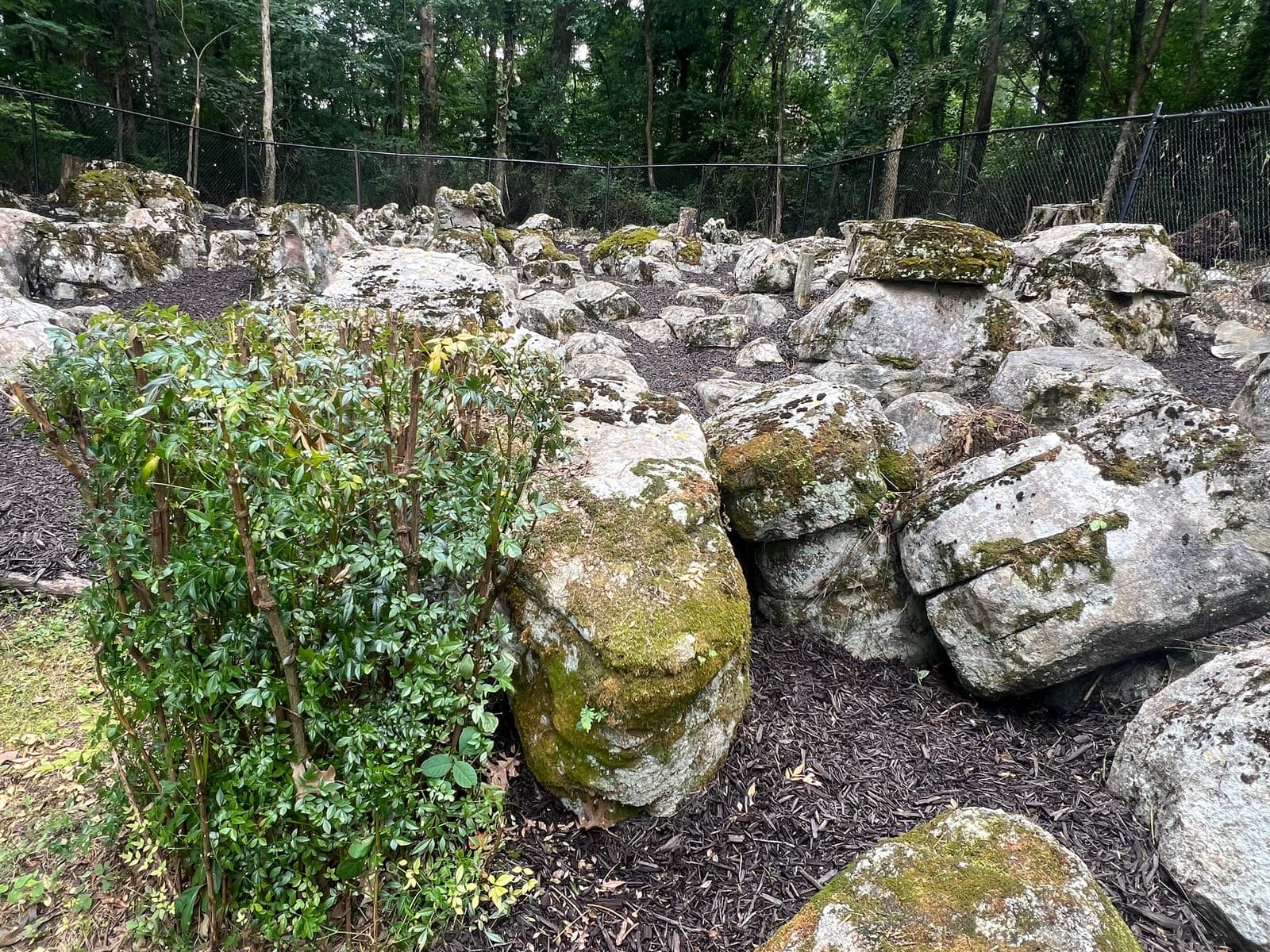 A wide boulder rock garden under fresh dark mulch, running to a black fence at the woodline.