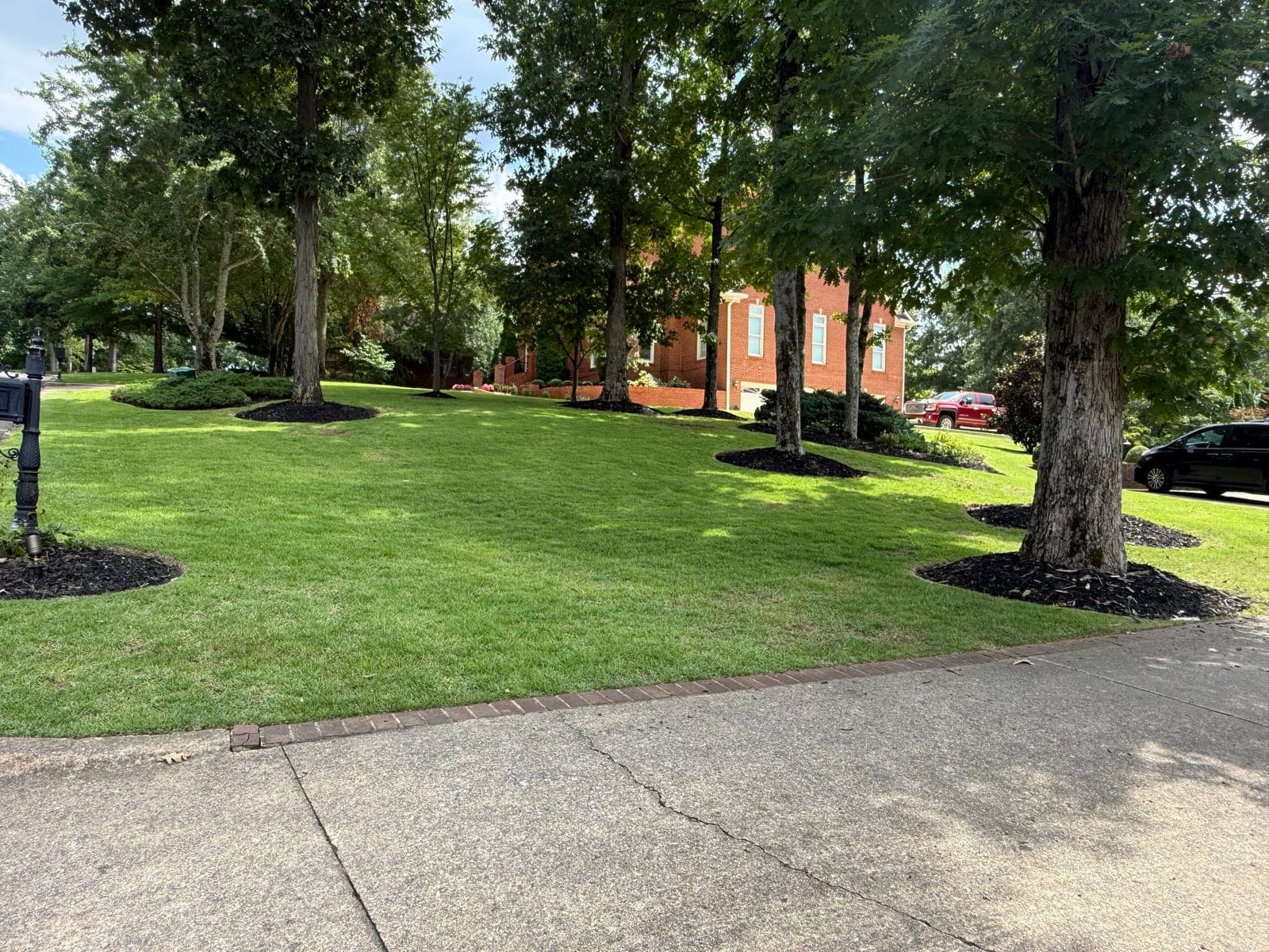 A shaded front lawn under mature hardwoods, with crisp mulch rings at each trunk and a brick walkway along the drive.