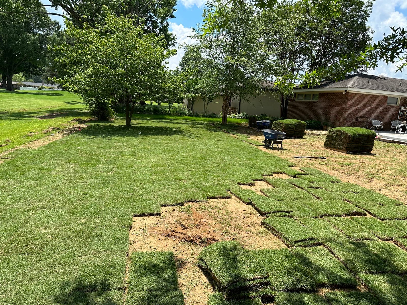 Fresh sod being laid across a bare yard, with stacked pallets of turf and a wheelbarrow waiting at the edge of the work.